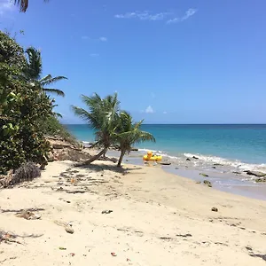 Relaxing Sunny Beach Side Near San Juan Apartment